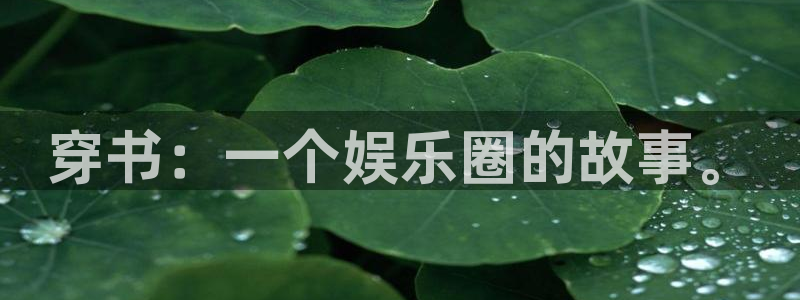 红足1世足球官网入口：穿书：一个娱乐圈的故事。