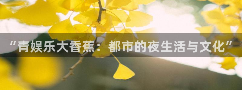 红足1世2站：“青娱乐大香蕉：都市的夜生活与文化”