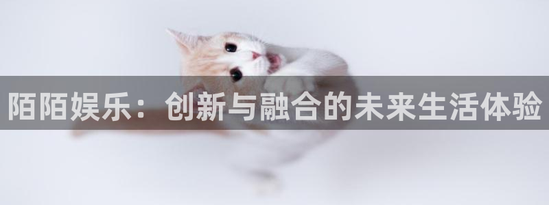 红足1世官网：陌陌娱乐：创新与融合的未来生活体验