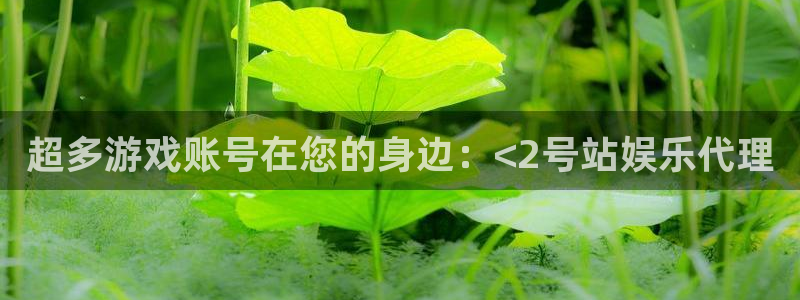 红足1世：超多游戏账号在您的身边：<2号站娱乐代理