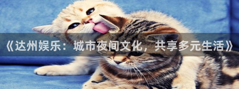 红足1世足球网页版入口：《达州娱乐：城市夜间文化，共享多元生活》