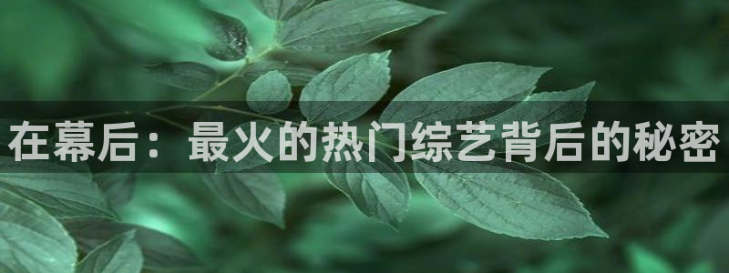 红足1世11814：在幕后：最火的热门综艺背后的秘密