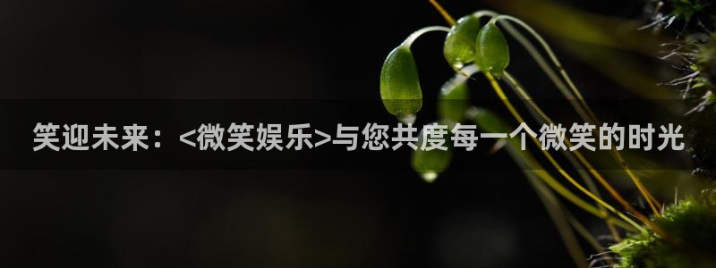红足1世足球网址大全：笑迎未来：<微笑娱乐>与您共度每一个微笑的时光