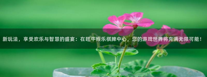 红足一1世平台：新玩法，享受欢乐与智慧的盛宴：在旺牛娱乐棋牌中心，您的游戏世界将充满无限可能！