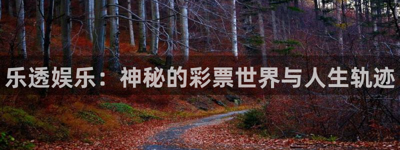 红足1世新：乐透娱乐：神秘的彩票世界与人生轨迹