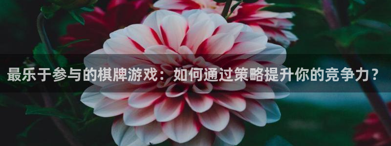 红足一1世平台：最乐于参与的棋牌游戏：如何通过策略提升你的竞争力？
