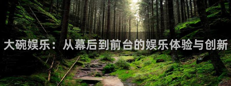 红足1世66814手机：大碗娱乐：从幕后到前台的娱乐体验与创新
