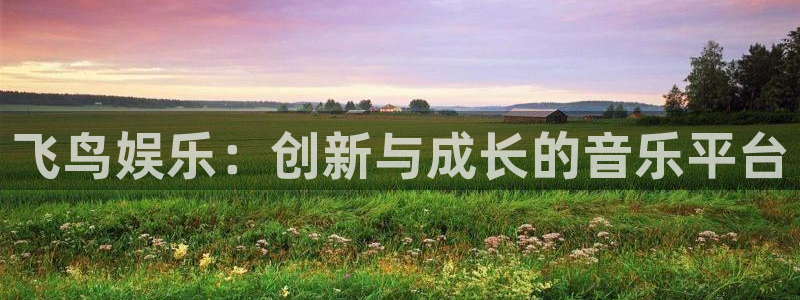 红足1世官网：飞鸟娱乐：创新与成长的音乐平台