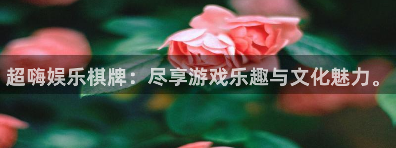 红足1世足球网：超嗨娱乐棋牌：尽享游戏乐趣与文化魅力。