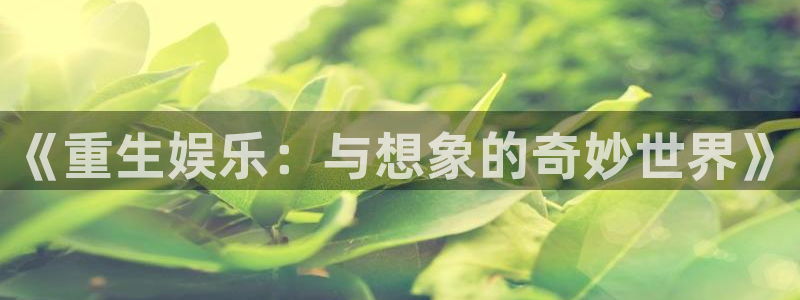 红足1世新：《重生娱乐：与想象的奇妙世界》