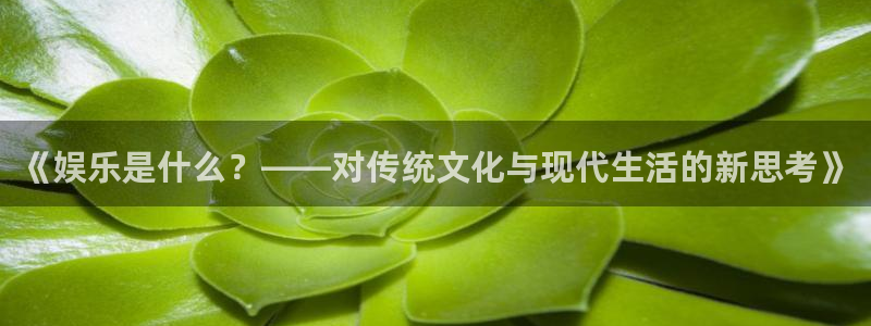 红足1世44814：《娱乐是什么？——对传统文化与现代生活的新思考》