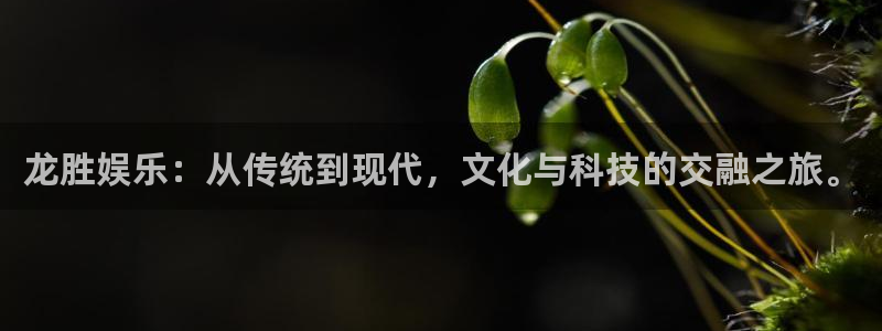 红足1世新：龙胜娱乐：从传统到现代，文化与科技的交融之旅。